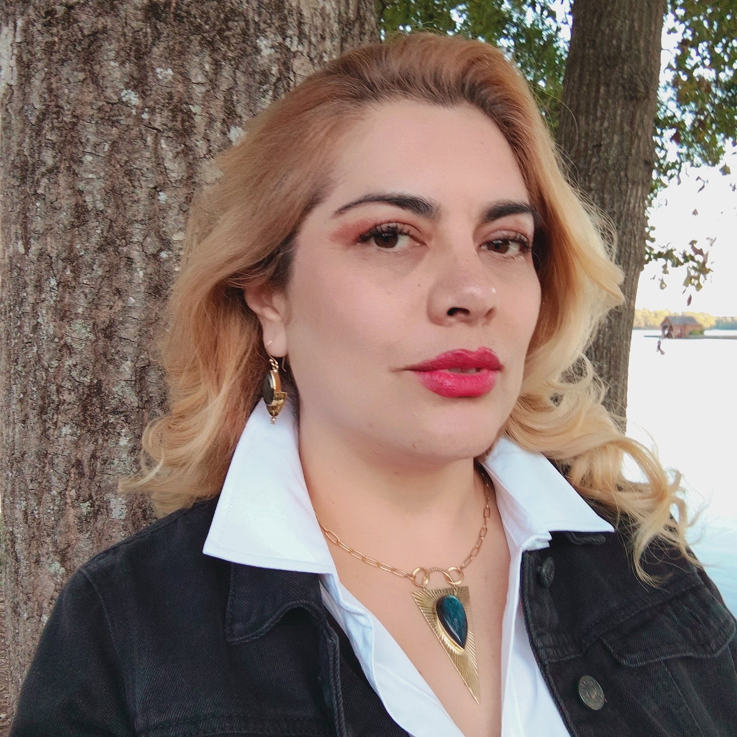 Labradorite and brass medallion Necklace